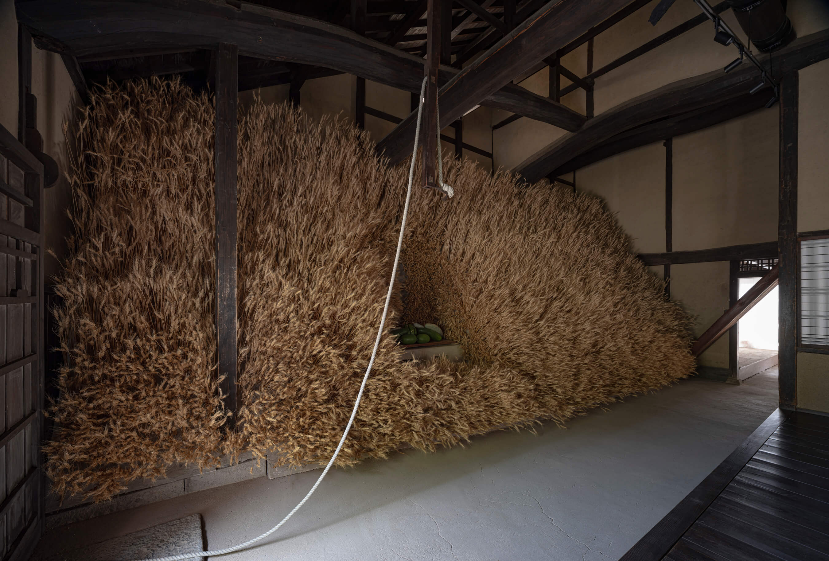 Atsunobu Katagiri/片桐功敦