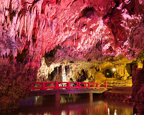 森の芸術祭　晴れの国・岡山 | 2024年秋、国際芸術祭「森の芸術祭　晴れの国・岡山」を開催