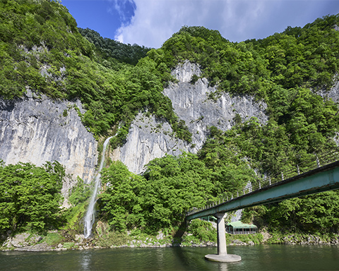 The Forest Festival of the Arts Okayama will be an international art festival held in the autumn of 2024.