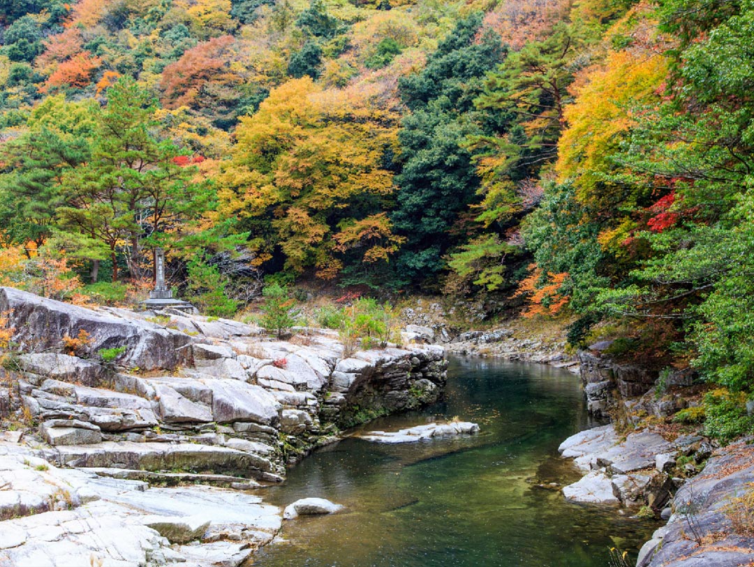 Forest Festival of the Arts Okayama