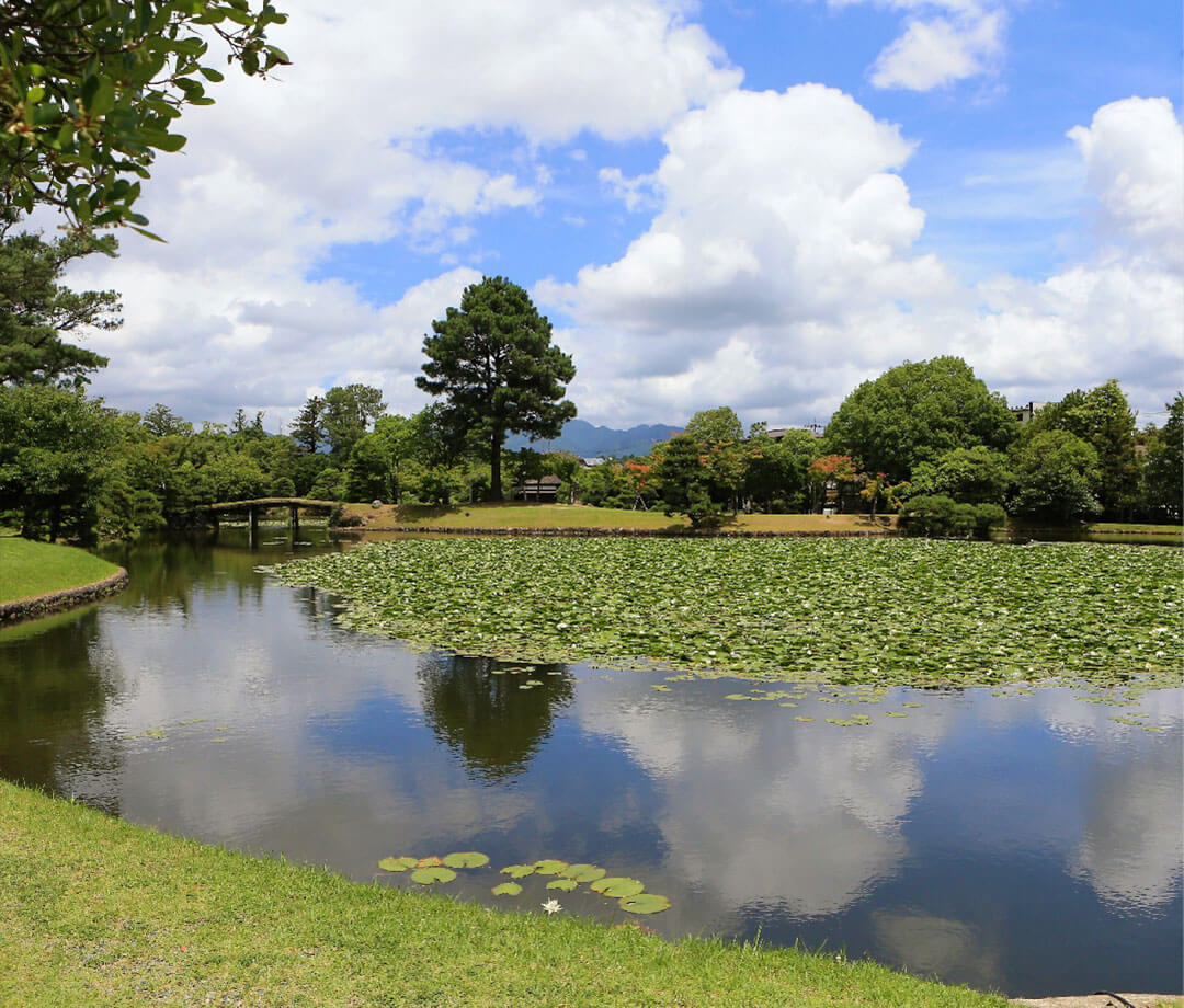 The Forest Festival of the Arts Okayama will be an international art festival held in the autumn of 2024.