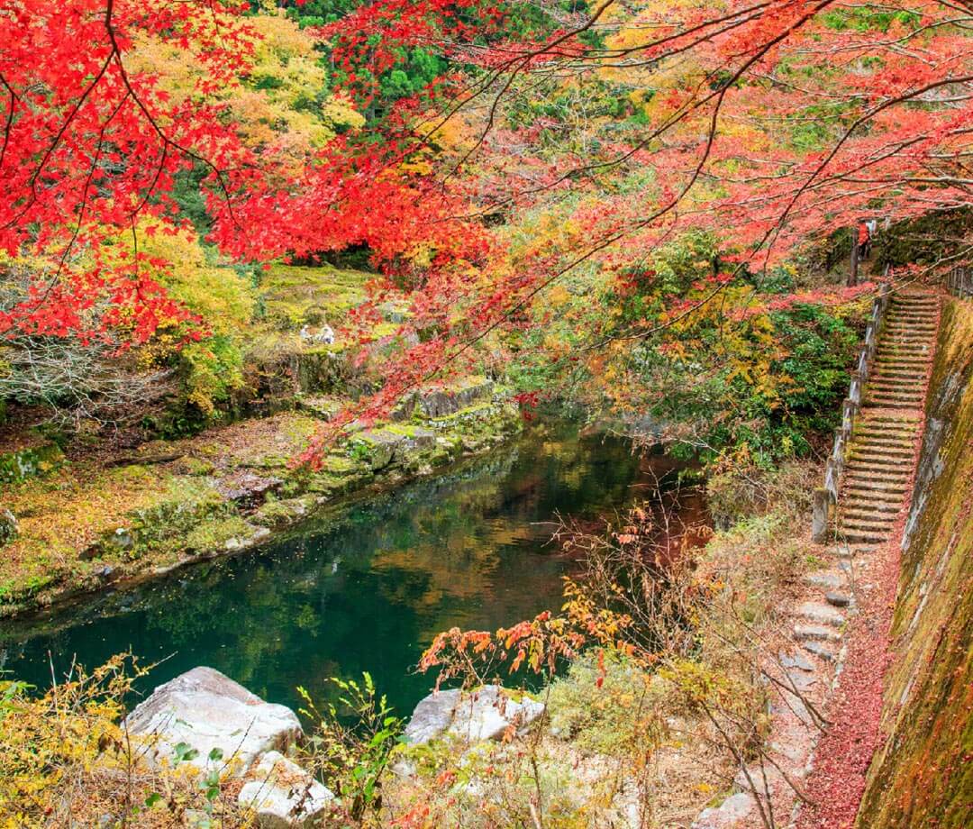 The Forest Festival of the Arts Okayama will be an international art festival held in the autumn of 2024.