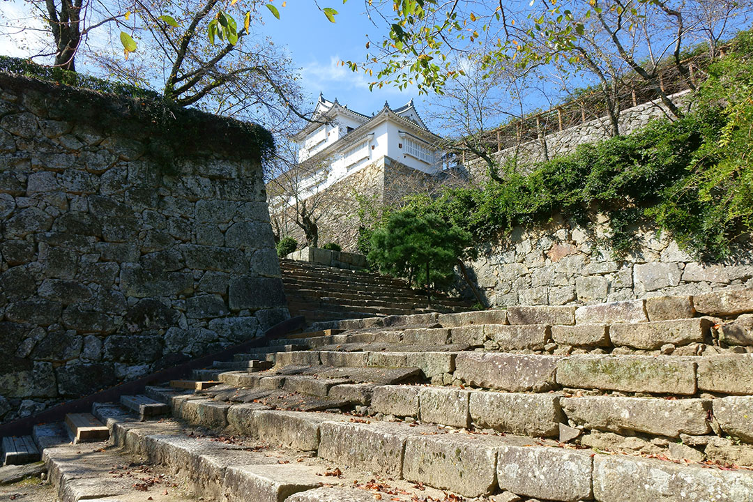 Tsuyama Castle (Kakuzan Park)