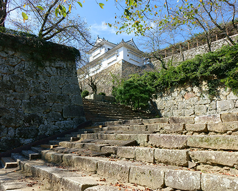 The Forest Festival of the Arts Okayama will be an international art festival held in the autumn of 2024.