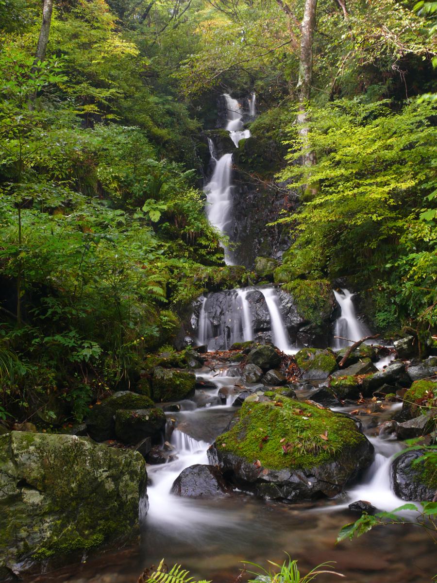 屋敷の滝