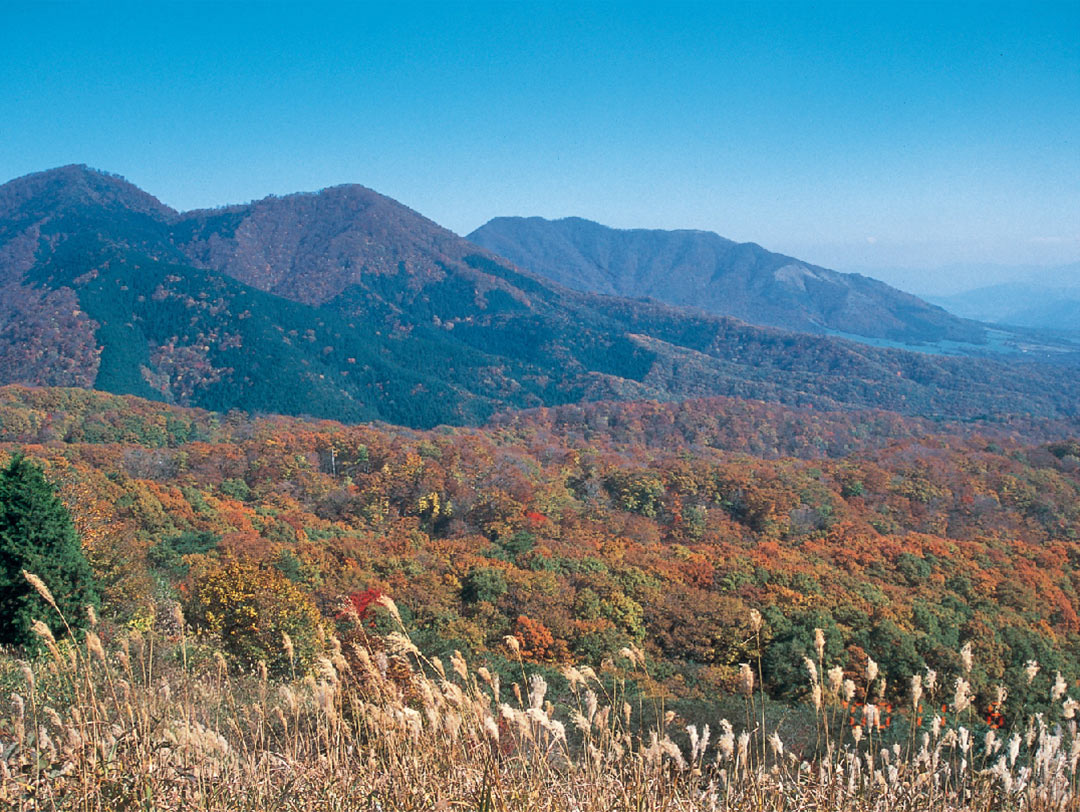 森の芸術祭 晴れの国・岡山 | 2024年秋、国際芸術祭「森の芸術祭 晴れの国・岡山」を開催