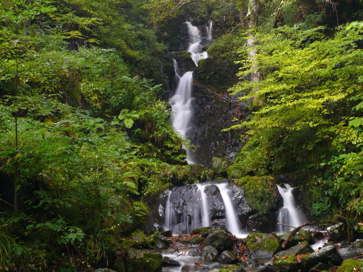 屋敷の滝