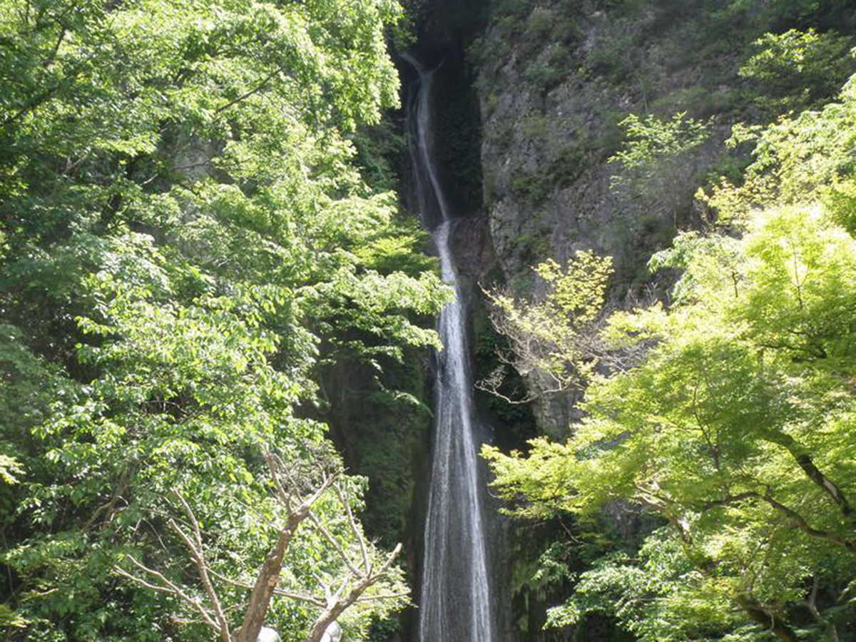 絹掛の滝