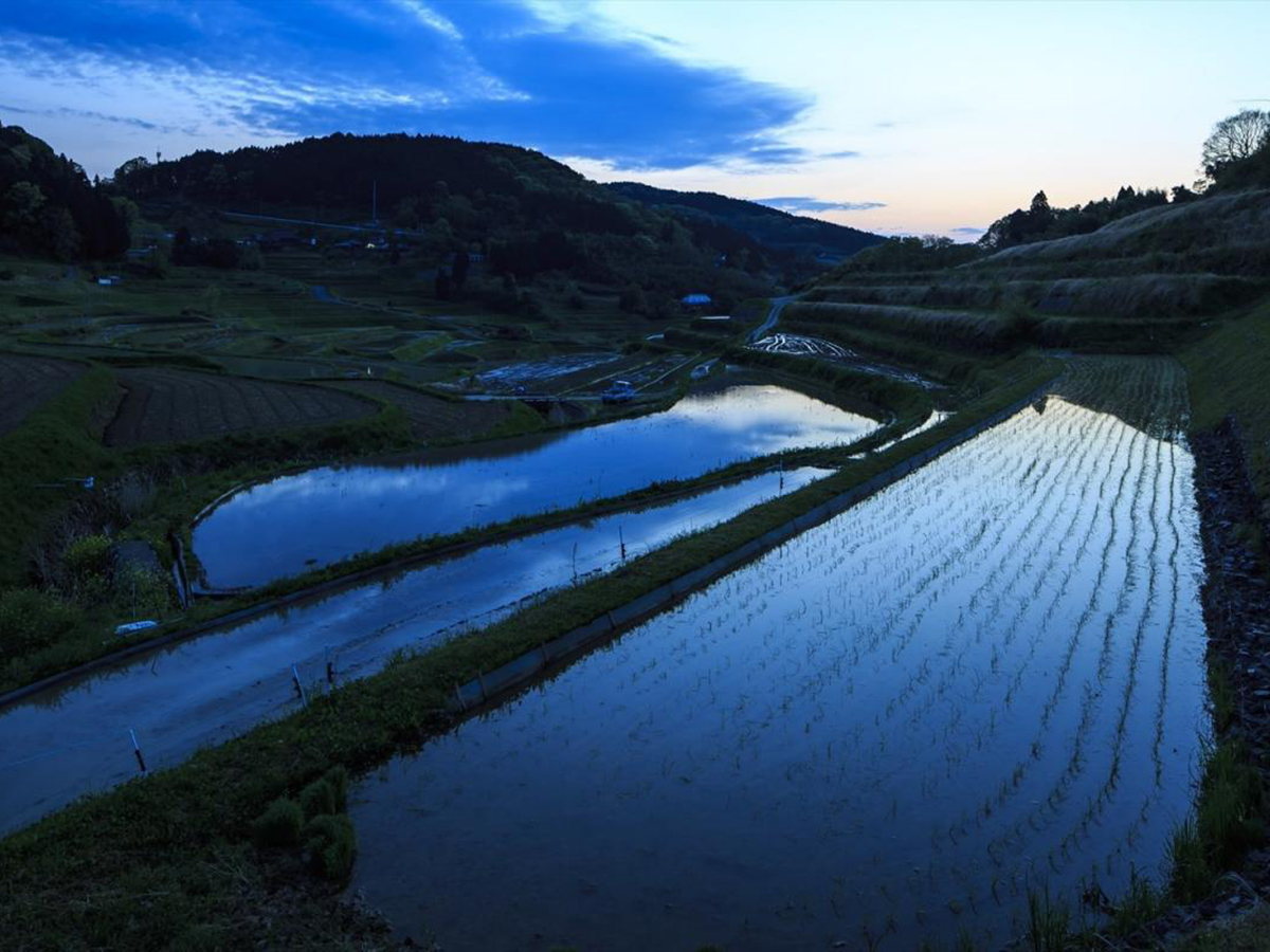 大垪和西の棚田