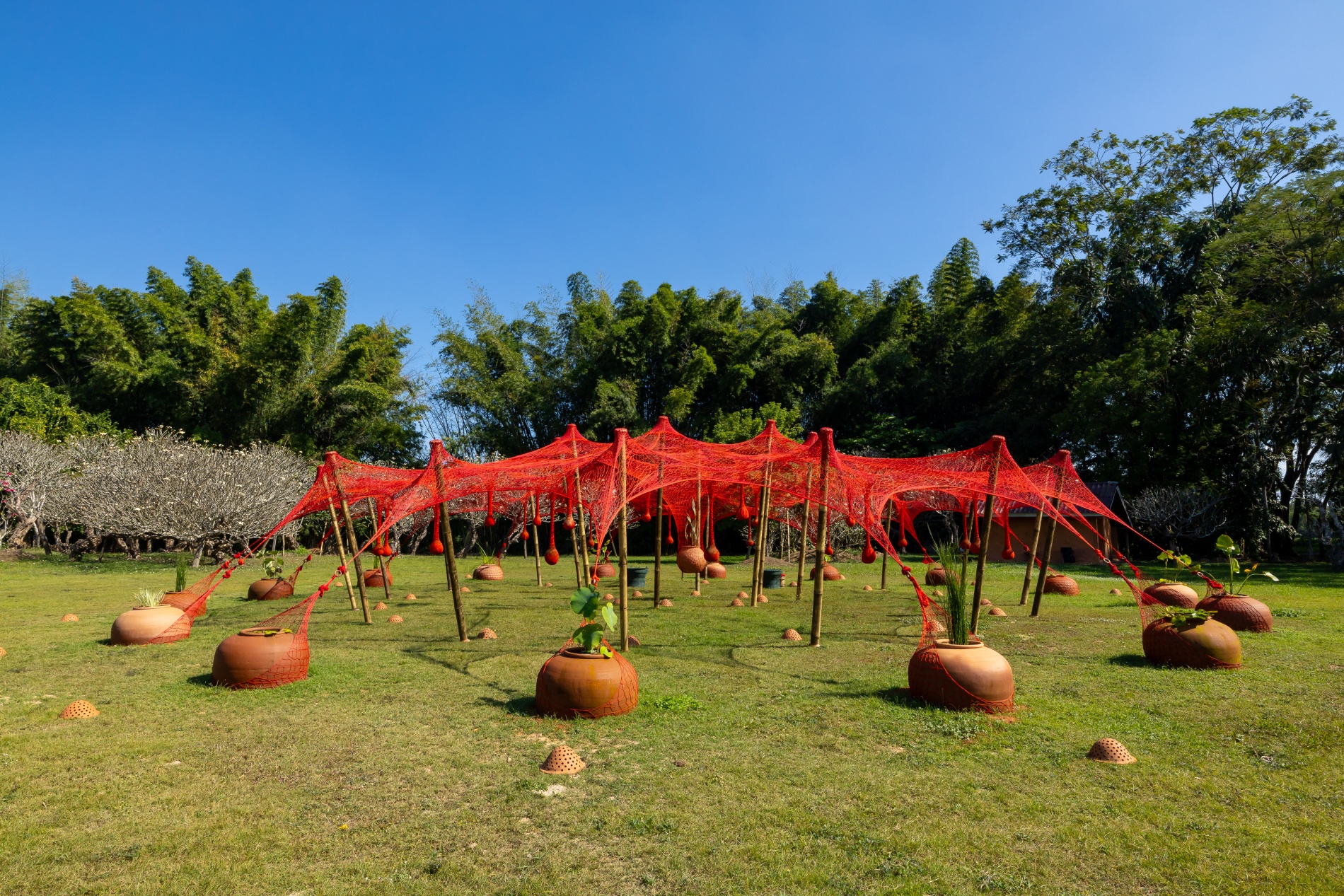 Ernesto Neto/エルネスト・ネト