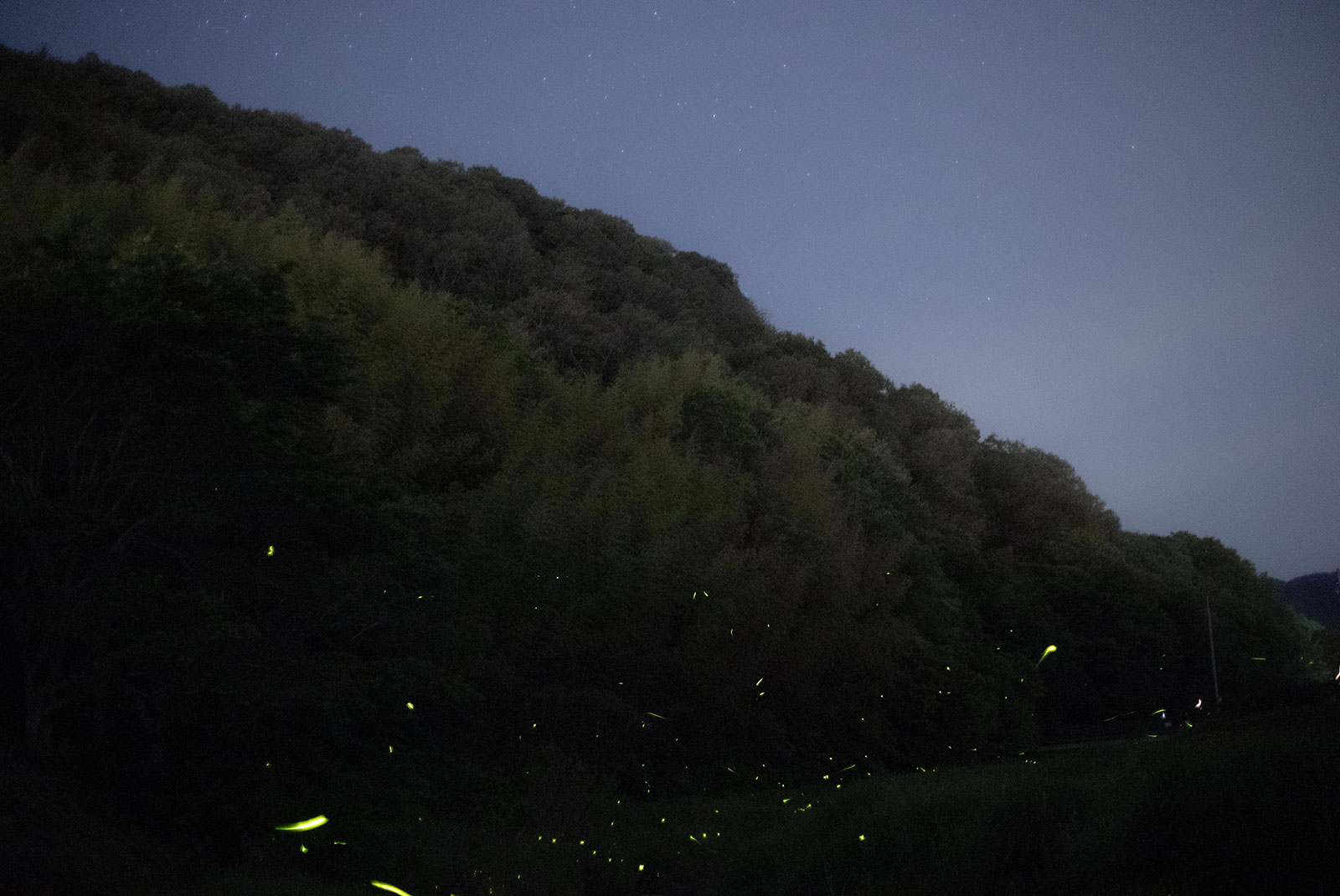 Rinko Kawauchi/川内倫子