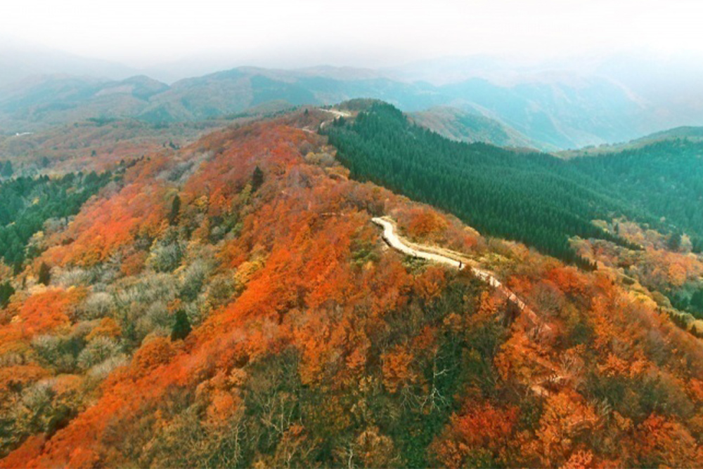 高清水トレイル（高清水高原・御林山・池川山・伯州山）