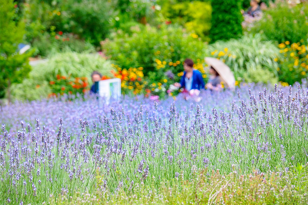 蒜山ハーブガーデンハービル