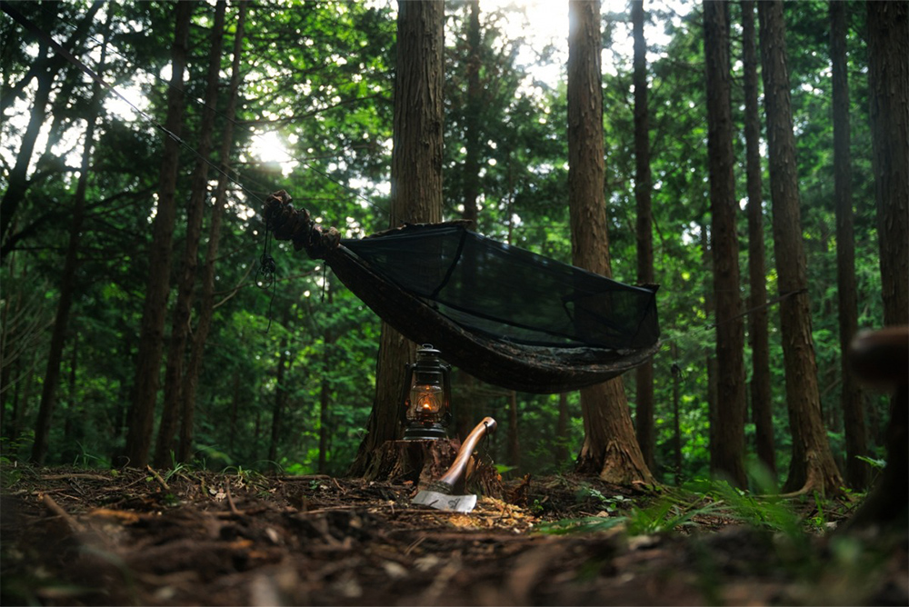 西粟倉村キャンプ場 森喫