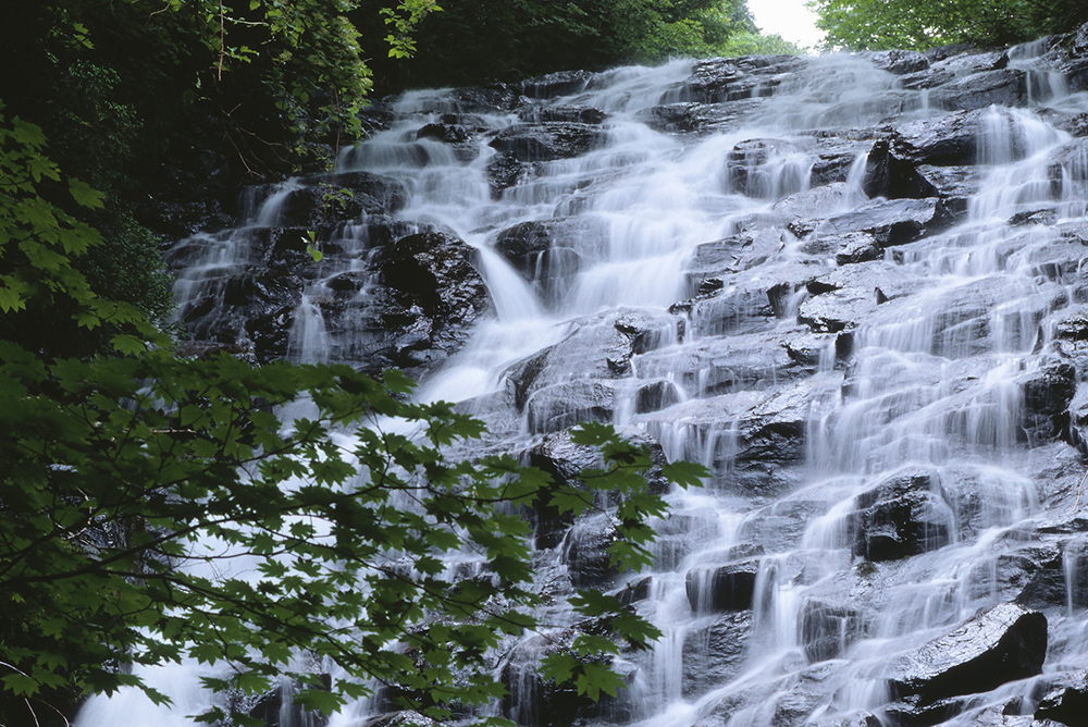 布滝・大滝・白髭滝