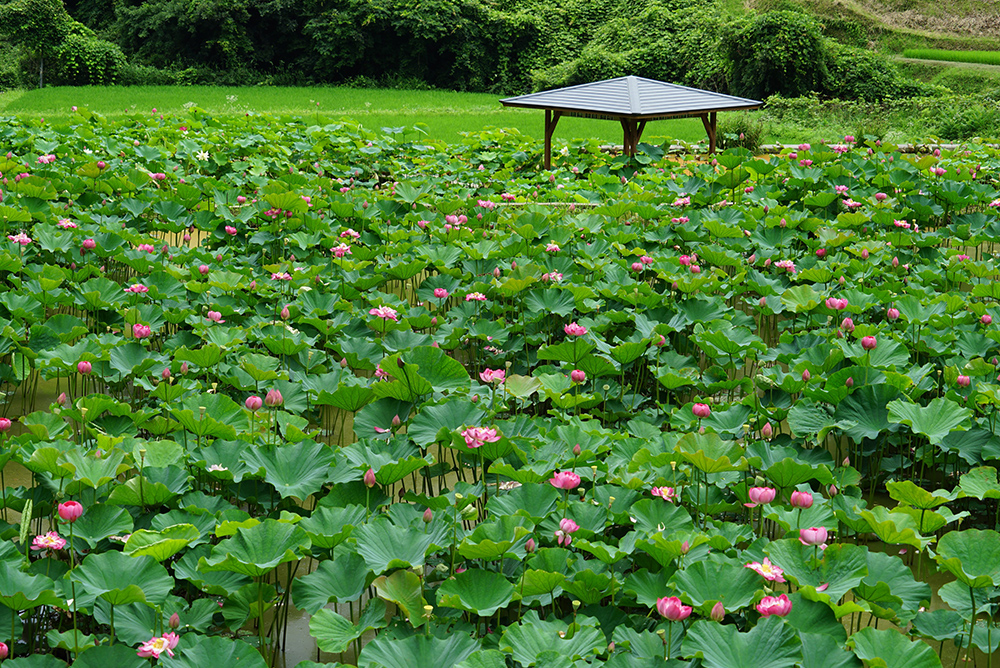 宮地やすらぎの里