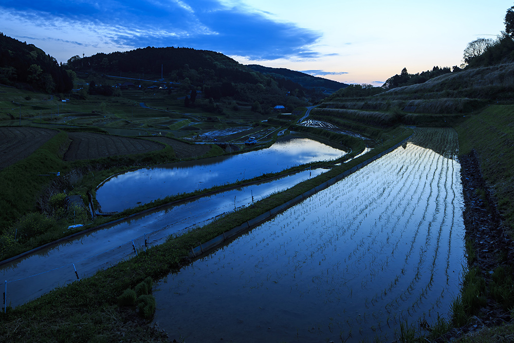 大垪和西の棚田