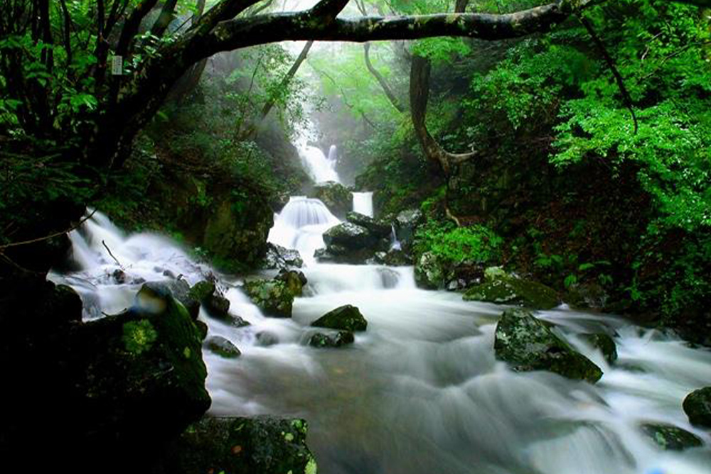 蛇淵の滝・屋敷の滝