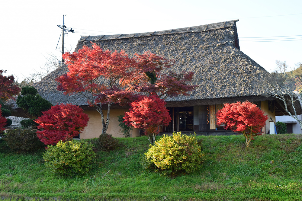歴史民俗資料館