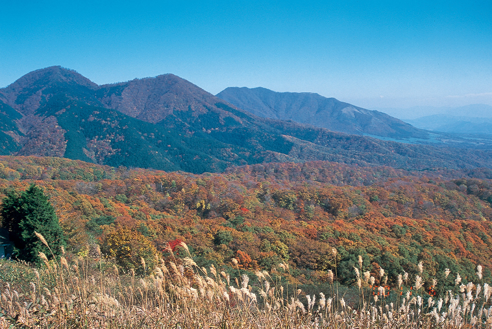 国立公園蒜山(蒜山高原)