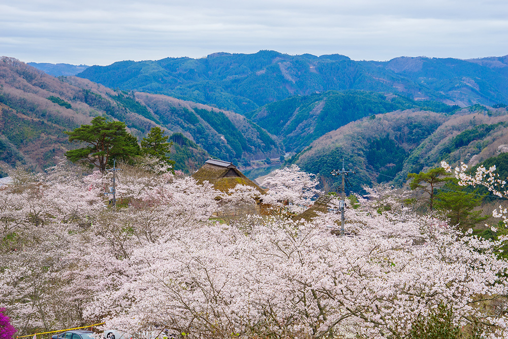 三休公園